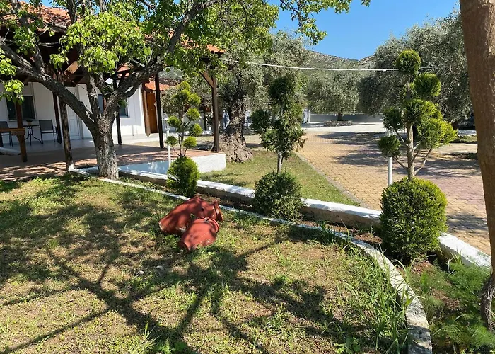 V-suites Apartament Potos