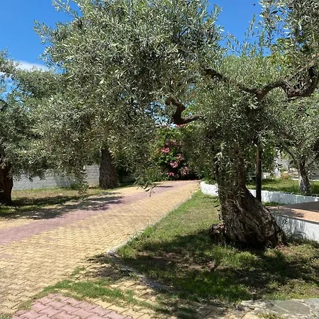 Διαμέρισμα V-suites