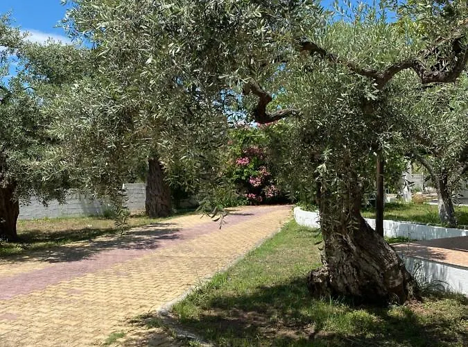 Διαμέρισμα V-suites